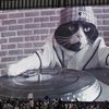 Video: Tampa Bay Rays' DJ Kitty